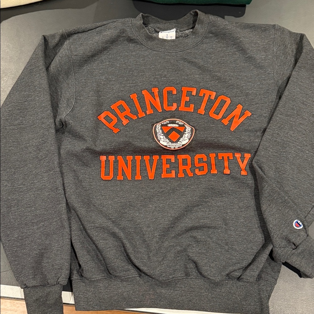 Champion Gray Princeton University Crewneck Sweater
